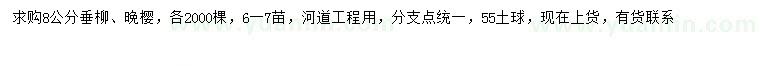 求购8公分垂柳、晚樱