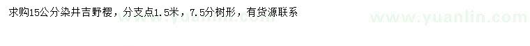 求购15公分染井吉野樱