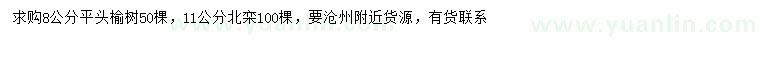 求购8公分榆树、11公分北栾