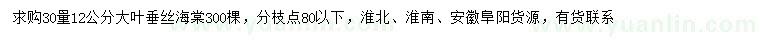 求购30量12公分大叶垂丝海棠