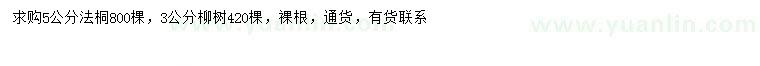 求购5公分法桐、3公分柳树