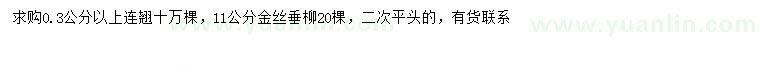 求购0.3公分以上连翘、11公分金丝垂柳