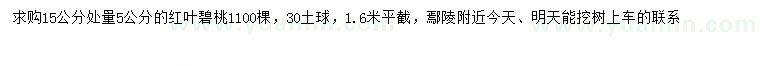 求购15量5公分红叶碧桃