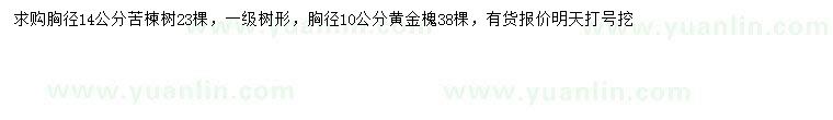 求购胸径10公分黄金槐、胸径14公分苦楝