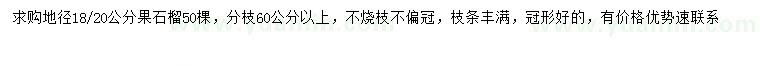 求购地径18、20公分果石榴