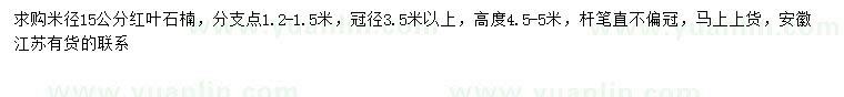 求购米径15公分红叶石楠