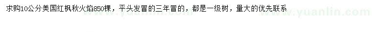 求购10公分美国红枫秋火焰