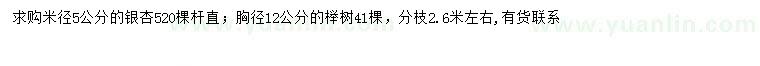 求购米径5公分银杏、胸径12公分榉树