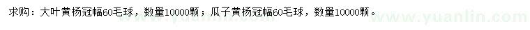 求购冠幅60公分大叶黄杨球、瓜子黄杨球