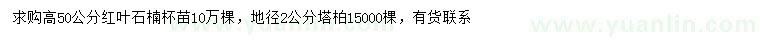 求购高50公分红叶石楠、地径2公分塔柏