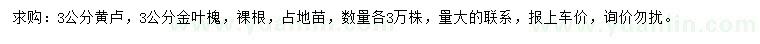 求购3公分黄栌、金叶槐