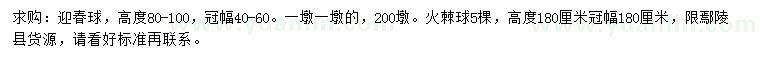 求购高80-100公分迎春球、高180公分火棘球