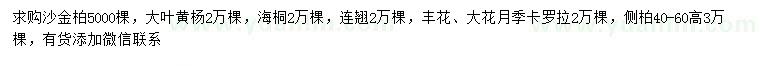 求购沙金柏、大叶黄杨、海桐等