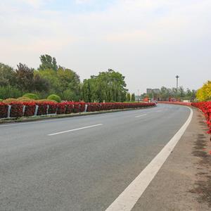 栏杆花器 花箱 道路花箱