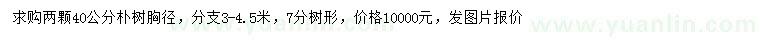 求购胸径40公分朴树