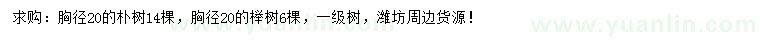 求购胸径20公分朴树、榉树