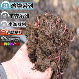 蚯蚓粪厂家|草炭土价格|园林绿化工程肥批发-石家庄王阳生物科技有限公司