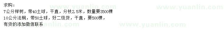 求购7公分榉树、10公分法桐