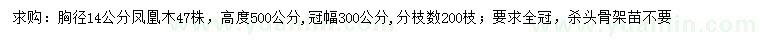 求购胸径14公分凤凰木