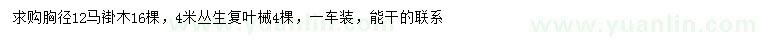 求购胸径12公分马褂木、4米丛生复叶械