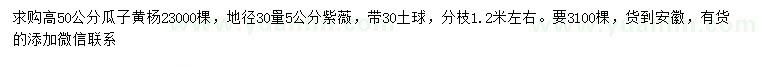 求购高50公分瓜子黄杨、30量5公分紫薇