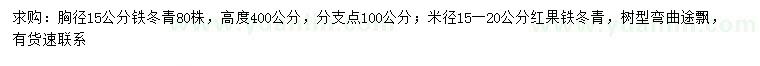 求购胸径15公分铁冬青、米径15-20公分红果铁冬青