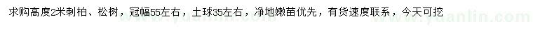 求购高2米刺柏、松树