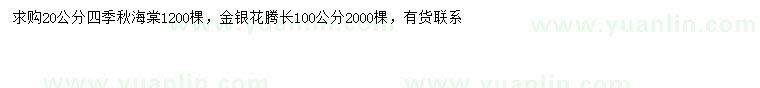 求购20公分秋海棠、100公分金银花