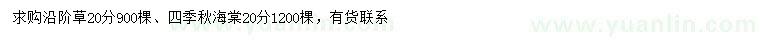 求购20公分沿阶草、秋海棠