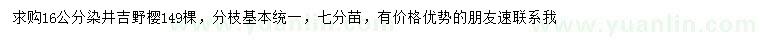 求购16公分染井吉野樱