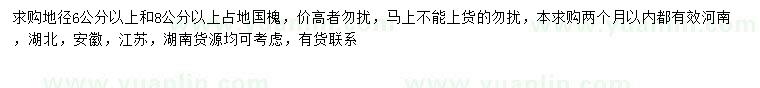 求购地径6公分以上国槐