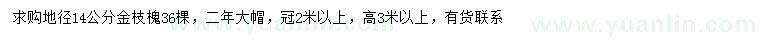 求购地径14公分金枝槐