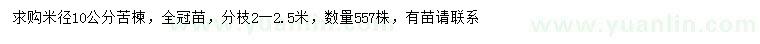 求购米径10公分苦楝