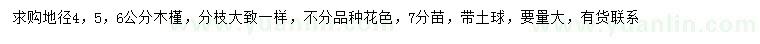 求购地径4、5、6公分木槿