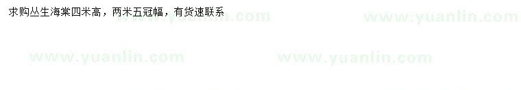 求购冠幅2.5米丛生海棠