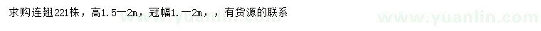 求购高1.5-2米连翘