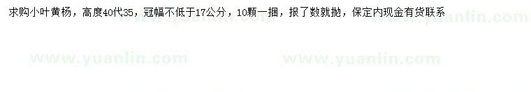 求购35、40公分小叶黄杨