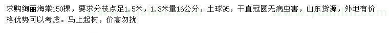 求购1.3米量16公分绚丽海棠