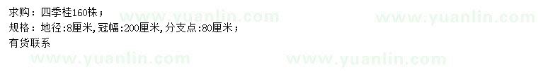 求购地径8公分四季桂