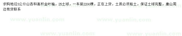 求购地径3公分山杏、高杆金叶榆