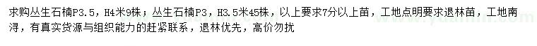 求购冠幅3、3.5米丛生石楠