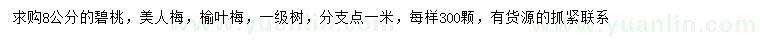 求购碧桃、美人梅、榆叶梅