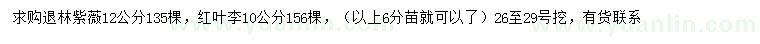 求购12公分紫薇、10公分红叶李