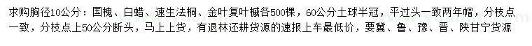 求购国槐、白蜡、速生法桐等