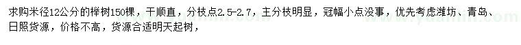 求购米径12公分榉树