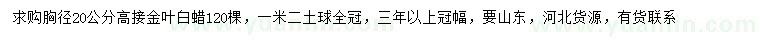 求购胸径20公分高接金叶白蜡