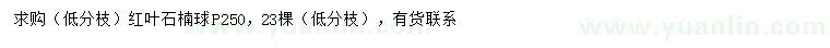 求购冠幅250公分红叶石楠球