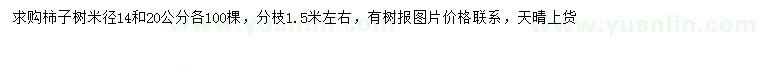 求购米径14、20公分柿子树