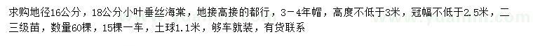 求购地径16、18公分小叶垂丝海棠