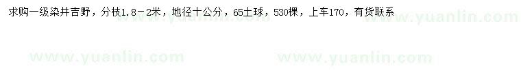 求购地径10公分染井吉野樱